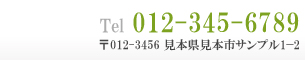 Tel:012-345-6789 〒012−3456 見本県見本市サンプル1−2