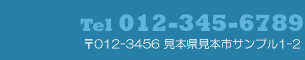 Tel:012-345-6789 〒012−3456 見本県見本市サンプル1−2