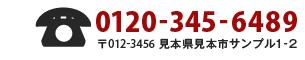 Tel:012-345-6789 〒012−3456 見本県見本市サンプル1−2
