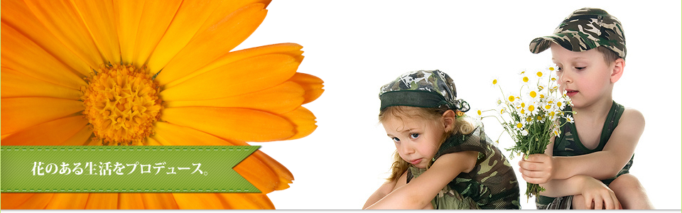 メインイメージ