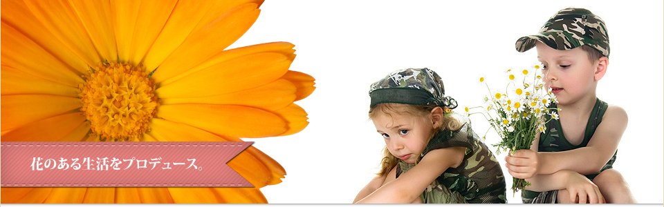 メインイメージ