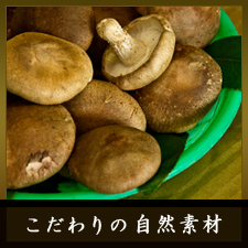 サンプルイメージ小１