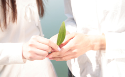 �T���v���C���[�W