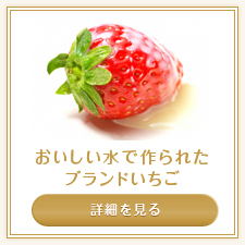 サンプルイメージ小１