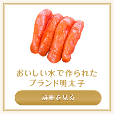 サンプルイメージ小２