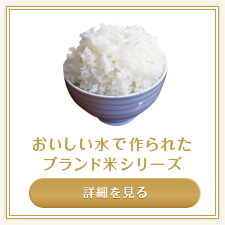 サンプルイメージ小３