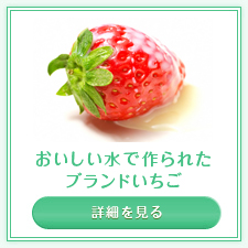 サンプルイメージ小１