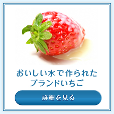 サンプルイメージ小１