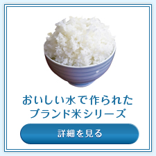 サンプルイメージ小３