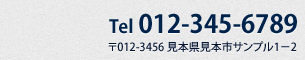 Tel:012-345-6789 〒012−3456 見本県見本市サンプル1−2