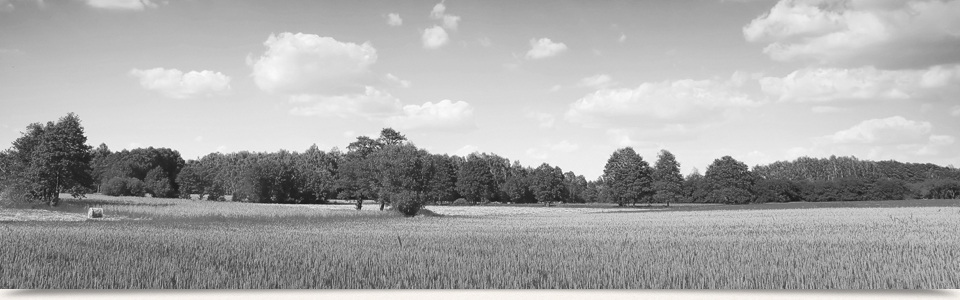 メインイメージ