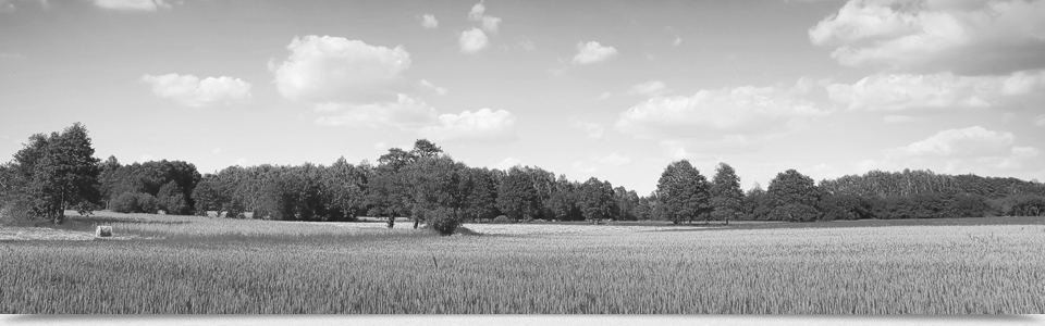 メインイメージ