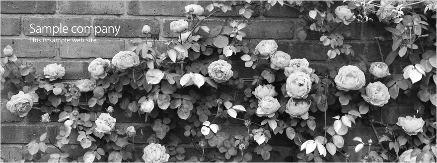 革新的な技術で世の中を動かす企業を目指します