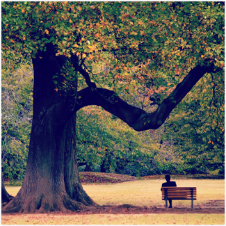 サンプルイメージ4