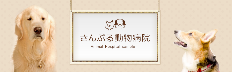 メインイメージ