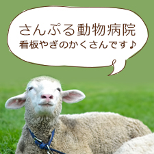 サンプルイメージ小１