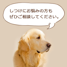 サンプルイメージ小２