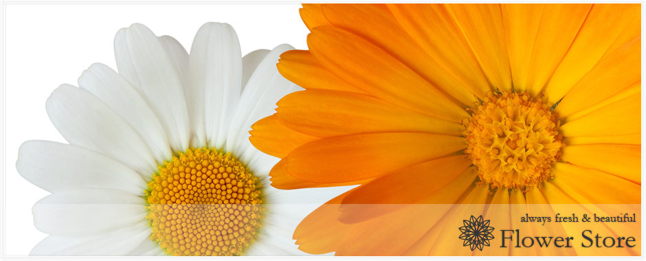 ホームページサンプル株式会社では最新技術と自然との調和を目指します。